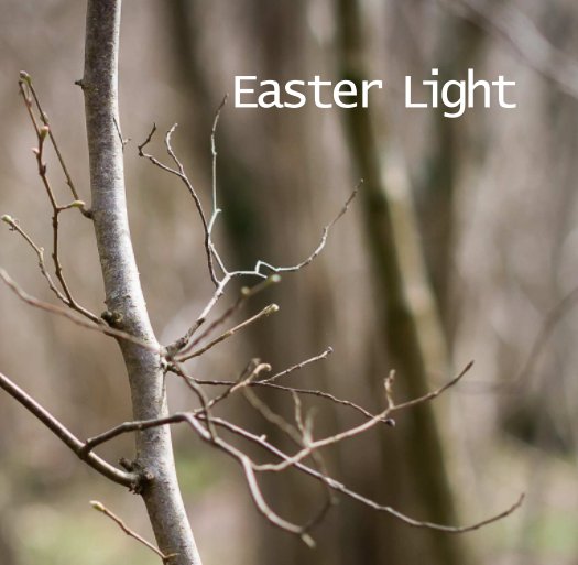 View Easter Light by Graham Dew