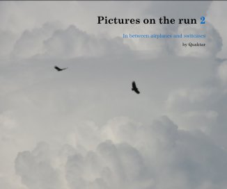 Pictures on the run 2 book cover