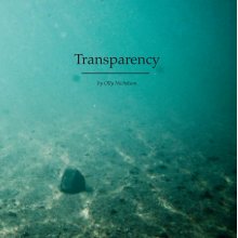 Transparency book cover