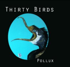 Thirty Birds book cover