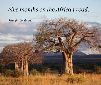 Five months on the African road. book cover