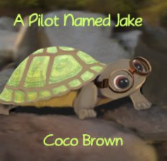 A Pilot Named Jake book cover