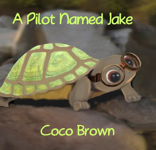 View A Pilot Named Jake by Coco Brown