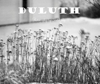 Duluth book cover