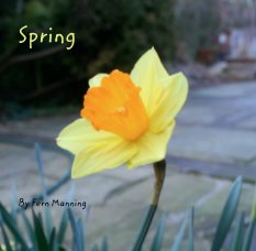 Spring book cover