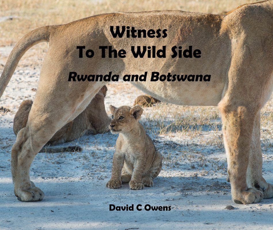 View Witness To The Wild Side by David C Owens