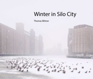 Winter in Silo City book cover