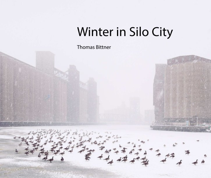 View Winter in Silo City by Thomas Bittner