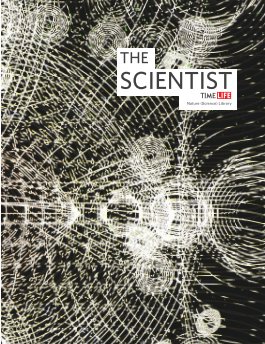 The Scientist book cover