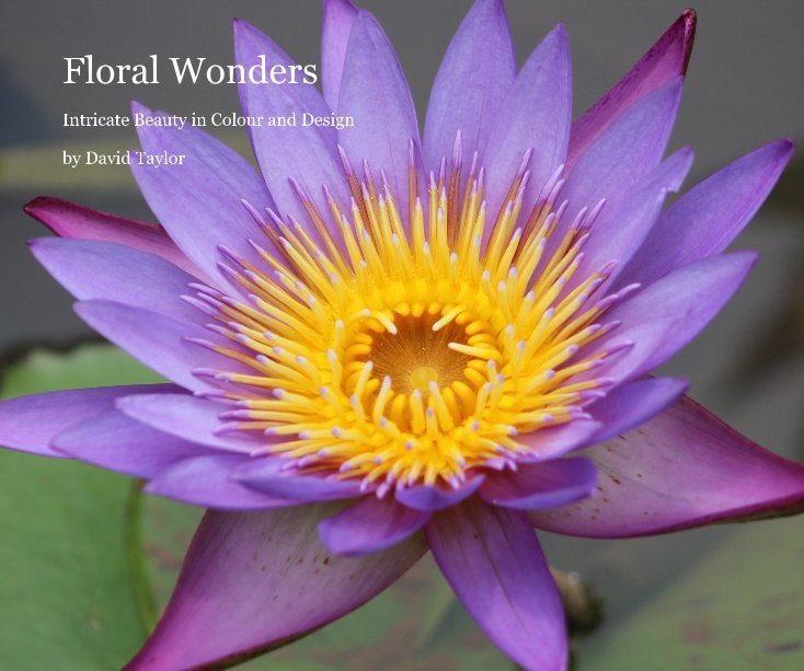 View Floral Wonders by David Taylor