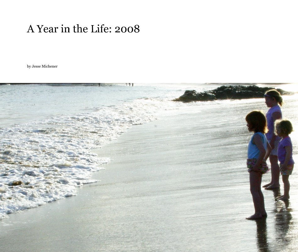 View A Year in the Life: 2008 by Jesse Michener
