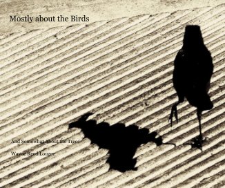 Mostly about the Birds book cover