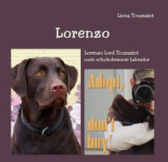 Lorenzo book cover