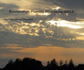 Binnendyk Family Memories 2012 book cover