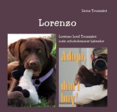 Lorenzo book cover