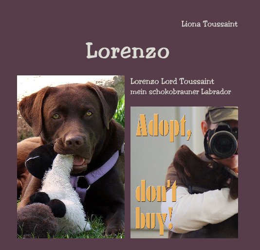 Ver Lorenzo por Liona Toussaint