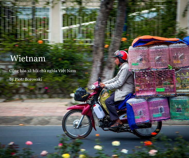 View Wietnam by Piotr Borowski