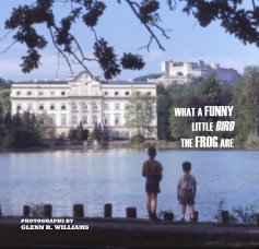 WHAT A FUNNY LITTLE BIRD THE FROG ARE book cover