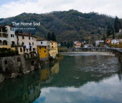 The Home Sod book cover