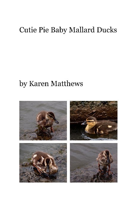 Bekijk Cutie Pie Baby Mallard Ducks op Karen Matthews
