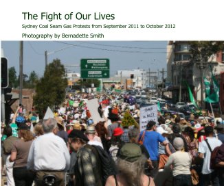 The Fight of Our Lives book cover