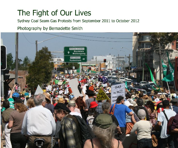 View The Fight of Our Lives by Bernadette Smith