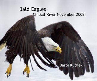 Bald Eagles Chilkat River book cover