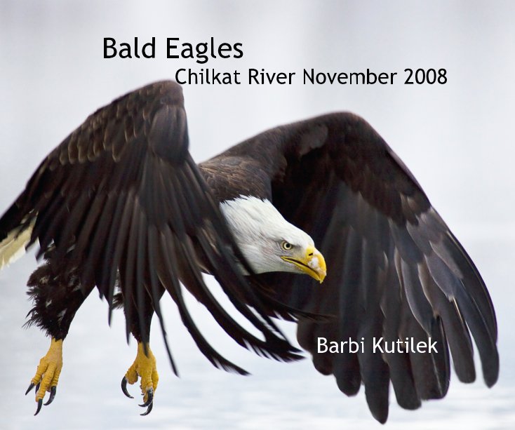 View Bald Eagles Chilkat River by Barbi Kutilek