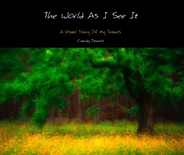 View The World As I See It by Candy Dennis