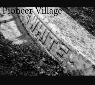 Pioneer Village book cover