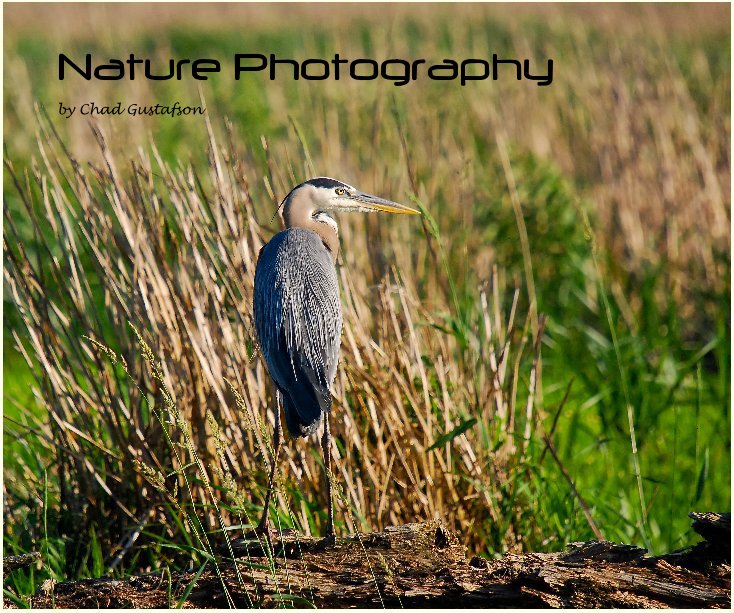 View Nature Photography by Chad Gustafson