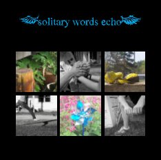 (solitary words echo) book cover