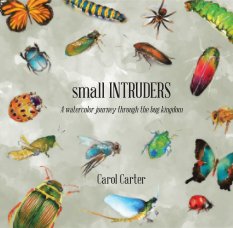small INTRUDERS book cover
