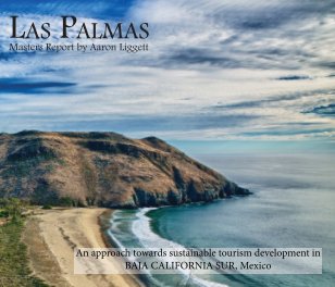 Las Palmas book cover