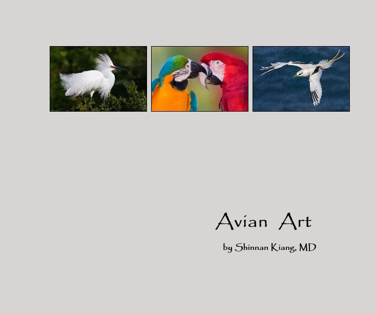 View Avian Art by Shinnan Kiang, MD