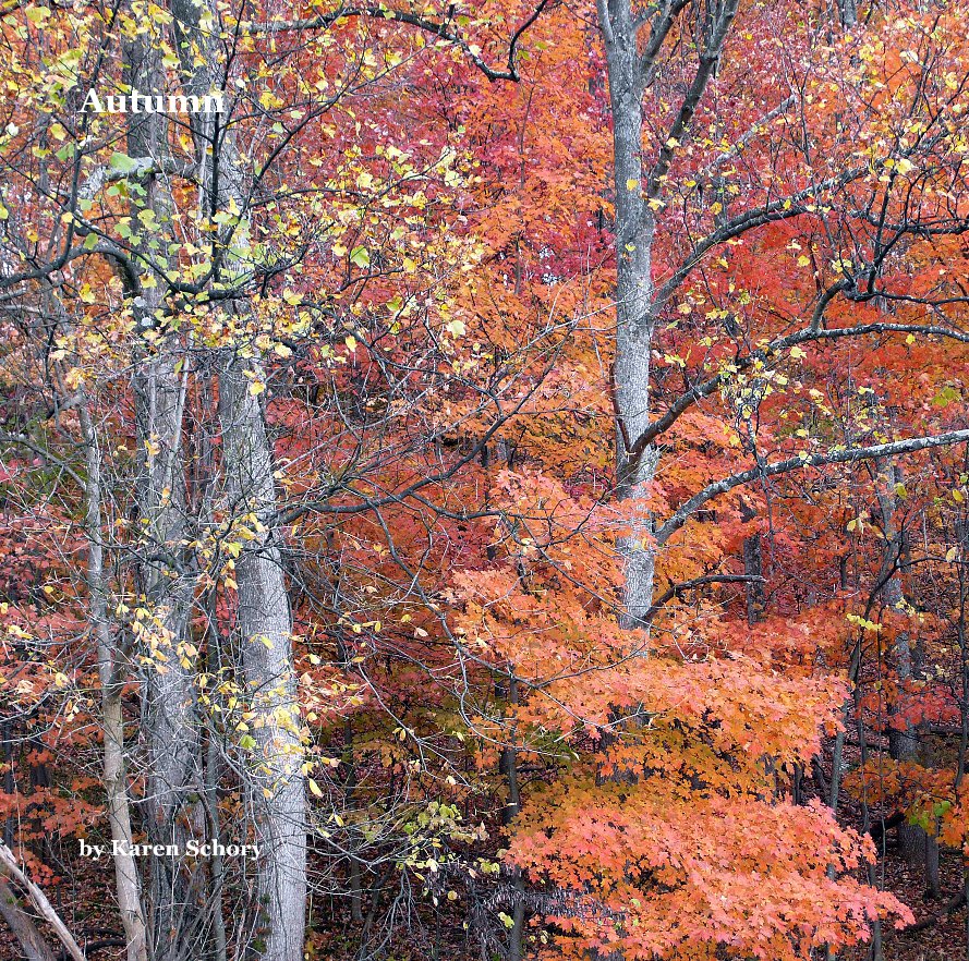 View Autumn by Karen Schory