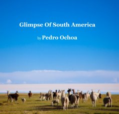Glimpse Of South America by Pedro Ochoa book cover