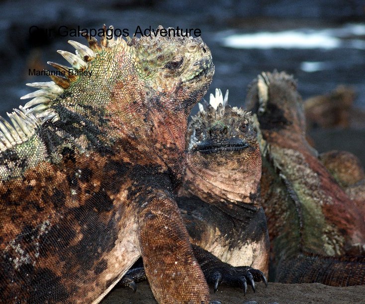 View Our Galapagos Adventure by Marianne Bailey