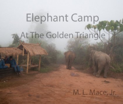 Elephant Camp book cover