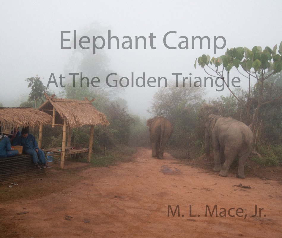 Visualizza Elephant Camp di M. L. Mace, Jr.