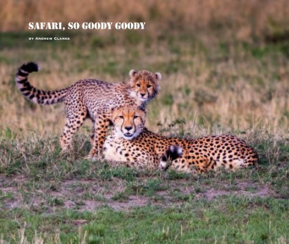 Safari, So Goody Goody book cover
