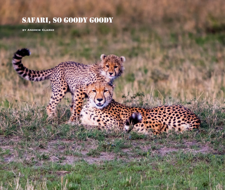 View Safari, So Goody Goody by Andrew Clarke