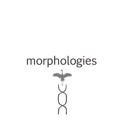 Morphologies book cover