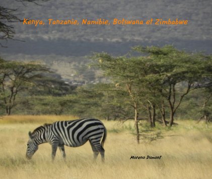 Kenya, Tanzanie, Namibie, Botswana et Zimbabwe book cover