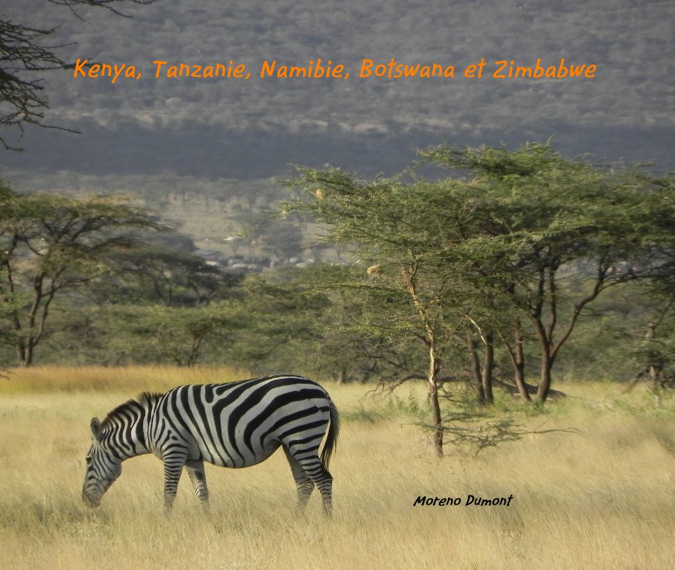 Ver Kenya, Tanzanie, Namibie, Botswana et Zimbabwe por Moreno Dumont