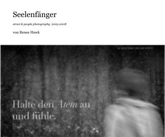 Seelenfänger book cover