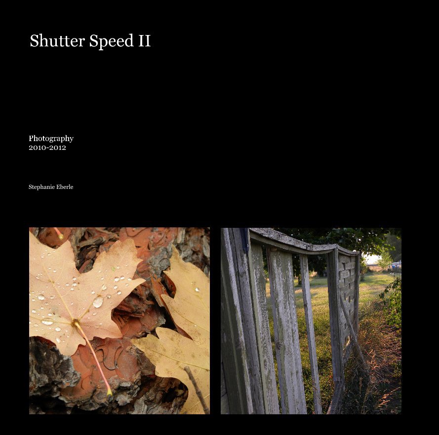 View Shutter Speed II by Stephanie Eberle