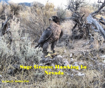 Sage Grouse Hawking In Nevada book cover