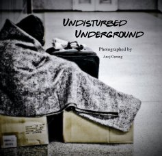 Undisturbed Underground book cover