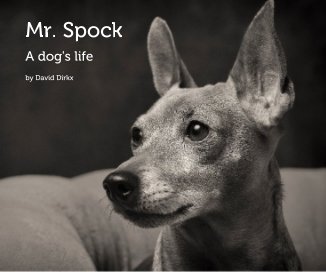 Mr. Spock book cover